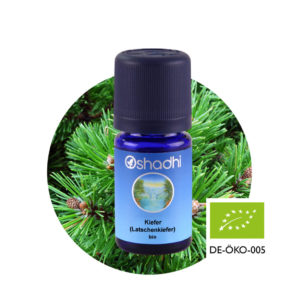Ätherisches Öl Kiefer (Latschenkiefer) bio