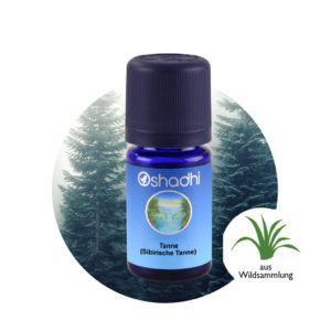 Ätherisches Öl Tanne (Sibirische Tanne)