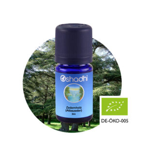 Ätherisches Öl Zedernholz (Atlaszeder) bio