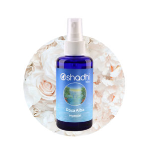 Weiße Rose, Rosenwasser Rosa alba bulgarisch bio - Hydrolat, Pflanzenwaser